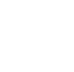 STS-Icon