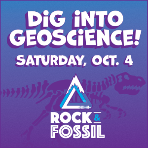 Rock and fossil clinic
