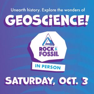 Rock and fossil clinic