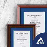 APEGA Frames