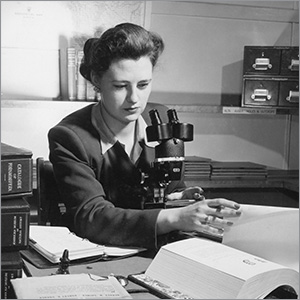 Submit A Piece of APEGA History