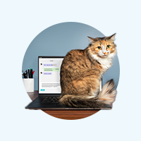 PetSecure