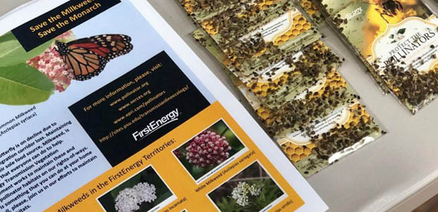 Focus on Conservation