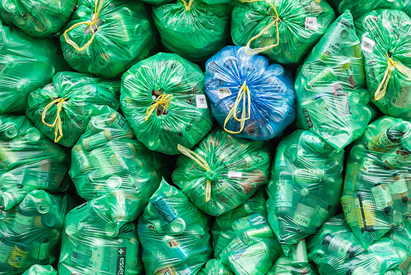 Plant Tour - Oregon Beverage Recycling Cooperative