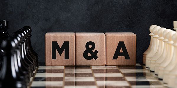 13th Annual FEI Capital Markets and M&A Update