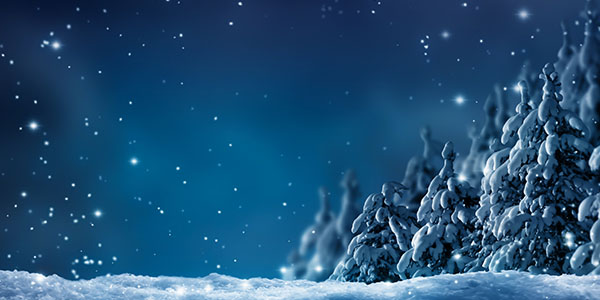 Winter Social