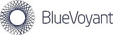 BlueVoyant