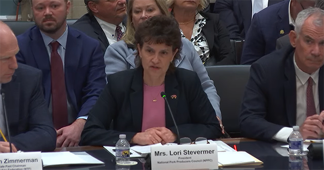 Lori_Stevermer's_State_of_the_Livestock_Industry_Testimony_-_Higher_Logic_Resize_3024167.png